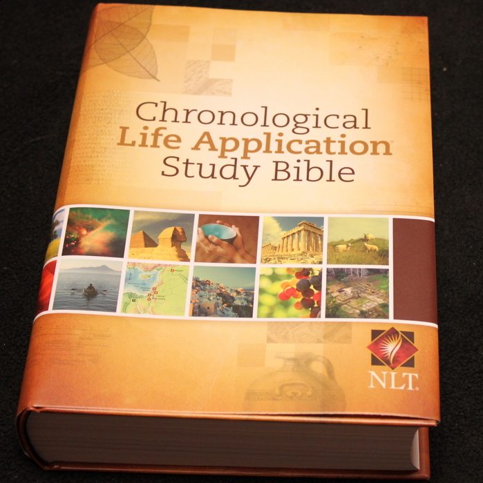 year of the bible study book