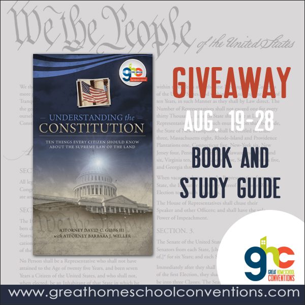 Free Quot Understanding The Constitution Quot Book Sidetracked Sarah